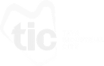 Taya Industrial City