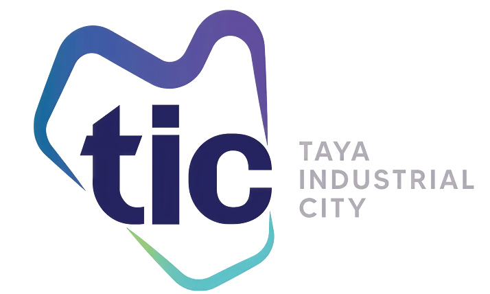 TIC Logo